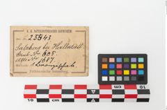 Etikett zu Bronzebreitrandschale (NHMW-PRAE-025543)